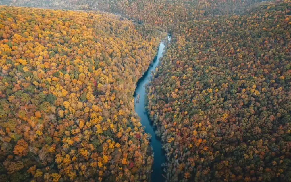 sco